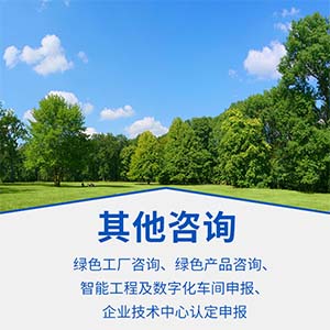 其他咨询 